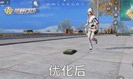 荒野奋斗最新爆料,揭秘生存挑战背后的真实故事